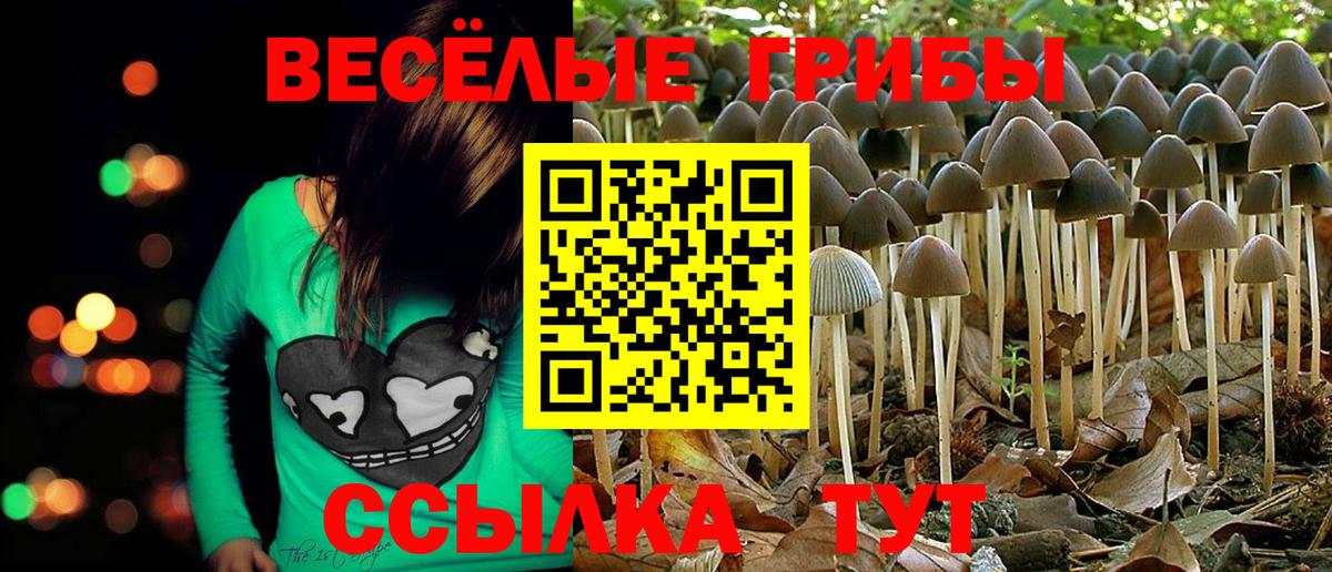 Нягань  Галлюциногенные грибы мицелий  Вход с VPN 