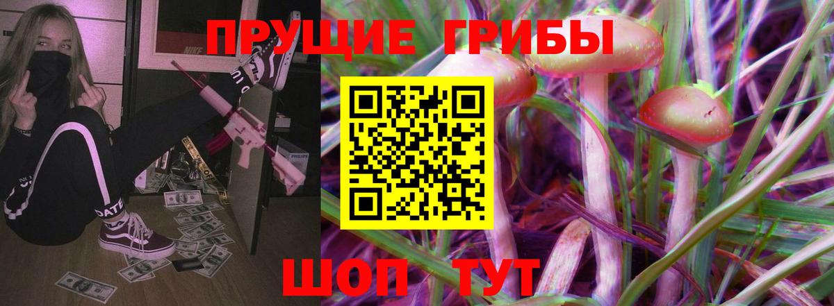 Псилоцибиновые грибы Psilocybe Нягань